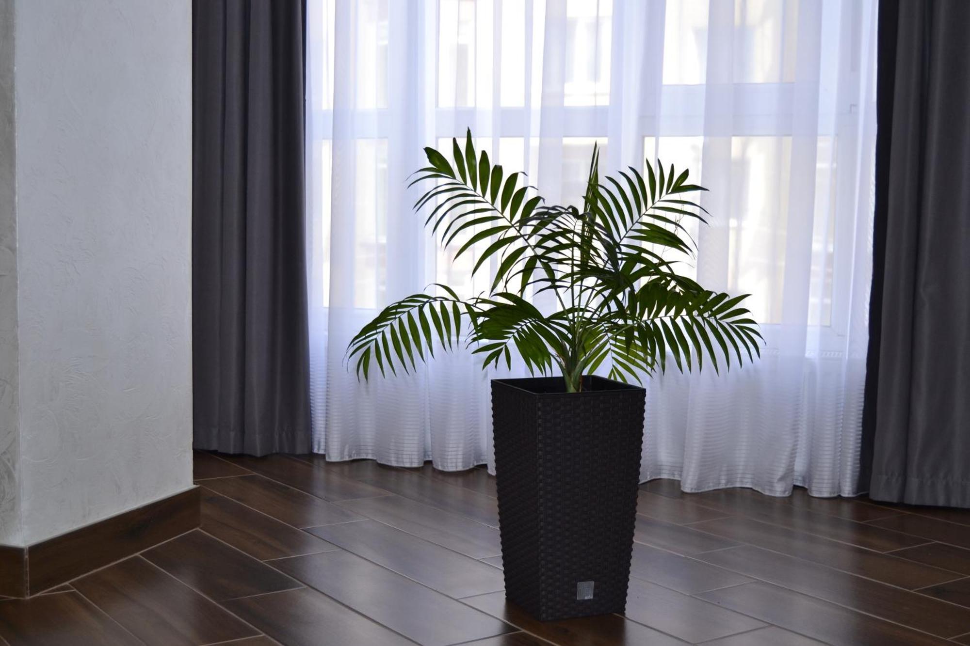 Modern Apartment On Belvedere Ивано-Франковск Экстерьер фото